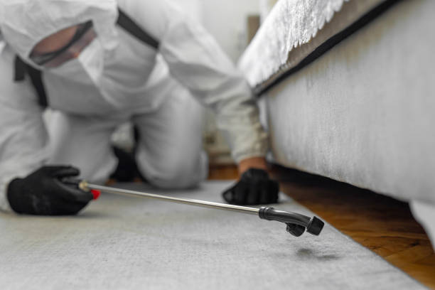 Professional Bed Bug Control technician working in Huntington, TX