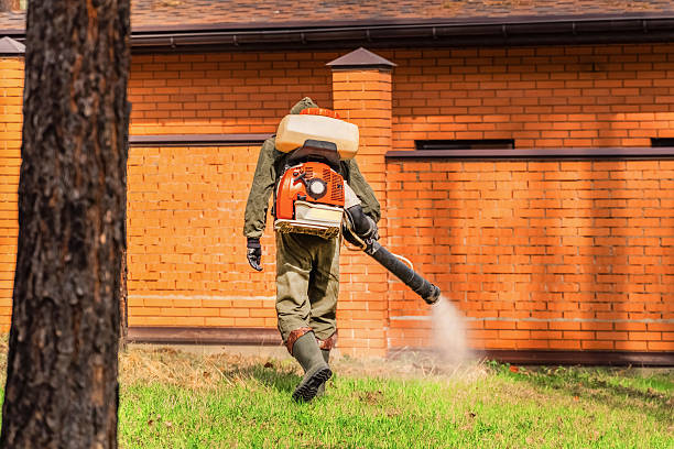 Trusted Bed Bug Control service in Huntington, TX - Nex Pest Control